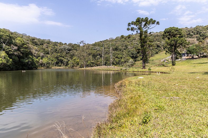 Nature, Pool, Barbecue | Brazilian Corner