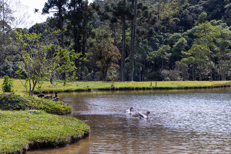 Nature, Pool, Barbecue | Brazilian Corner