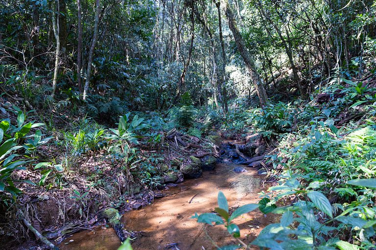 Nature, Pool, Barbecue | Brazilian Corner