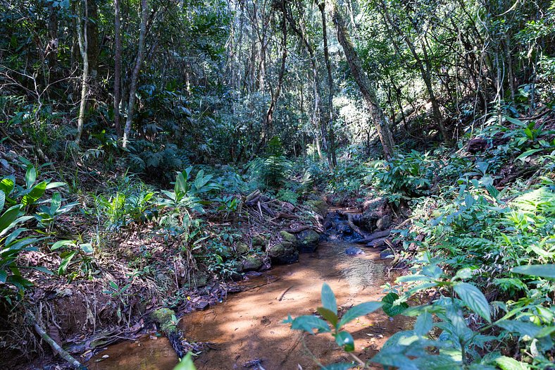 Natureza, Piscina, Churrasqueira |Brazilian Corner