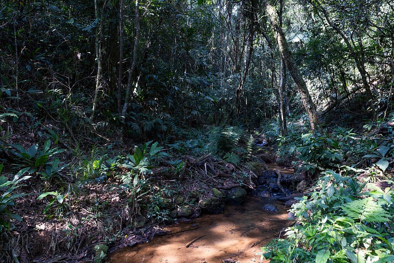 Natureza, Piscina, Churrasqueira |Brazilian Corner